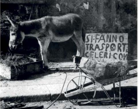 un âne devant une brouette avec l'inscription « livraison rapide ».