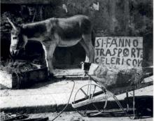 a donkey in front of a wheelbarrow with the inscription “quick delivery”.