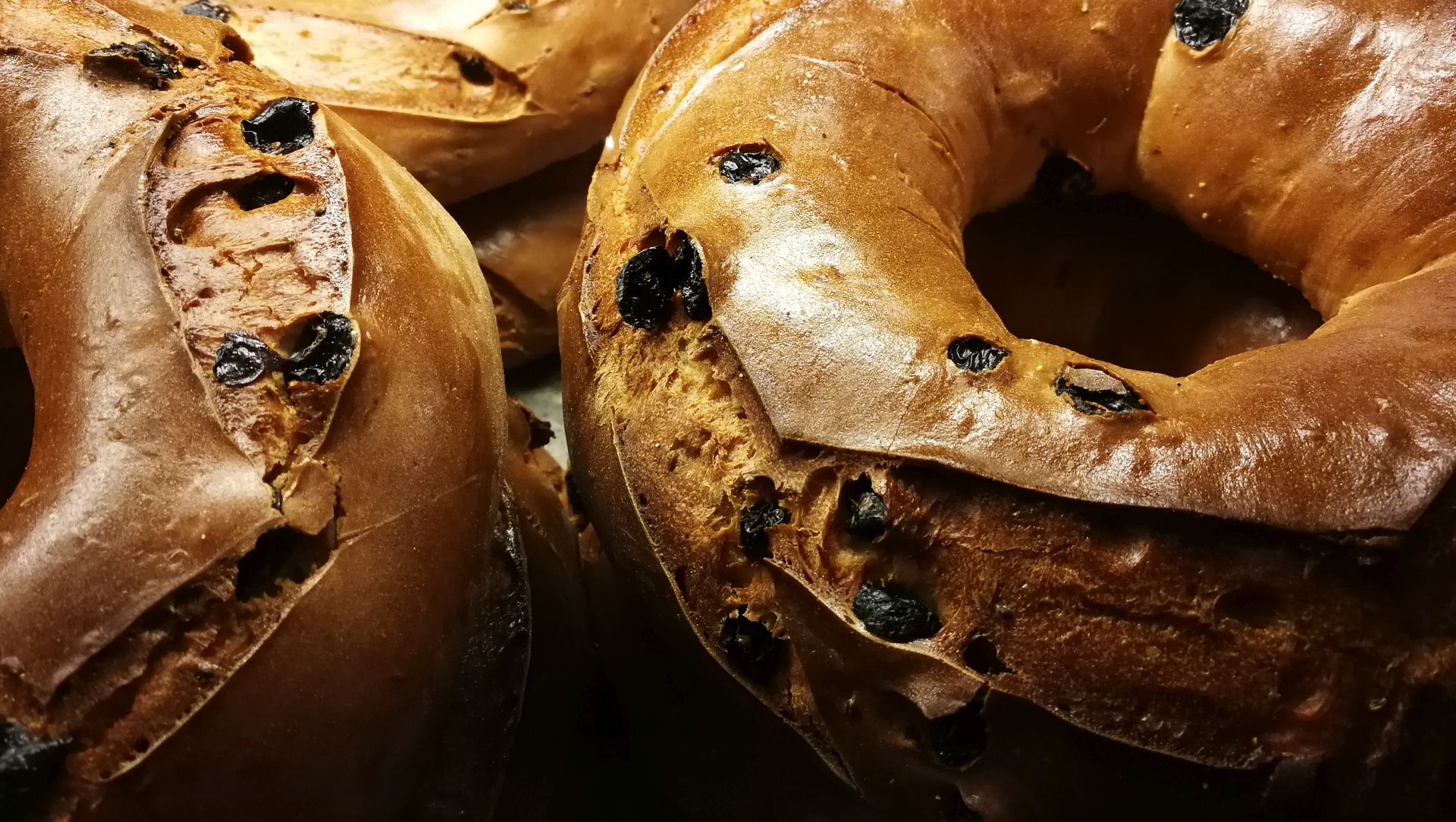 alcuni pani di bucellato dalla forma a ciambella