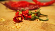 peperoncino - img flockline per pixabay